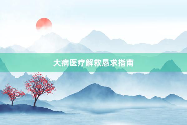大病医疗解救恳求指南