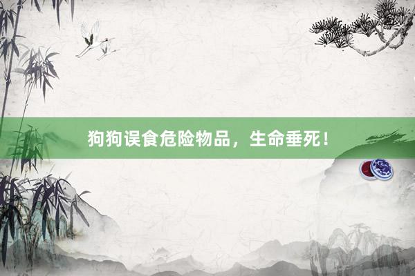 狗狗误食危险物品，生命垂死！