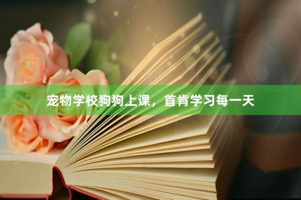宠物学校狗狗上课，首肯学习每一天
