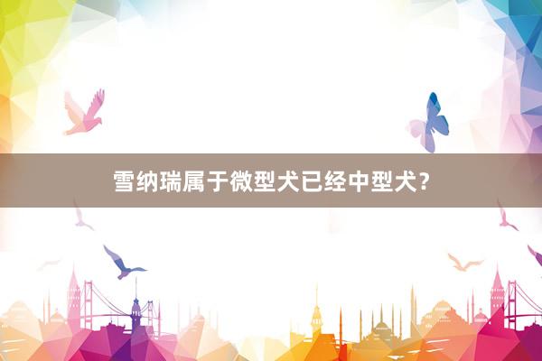 雪纳瑞属于微型犬已经中型犬？